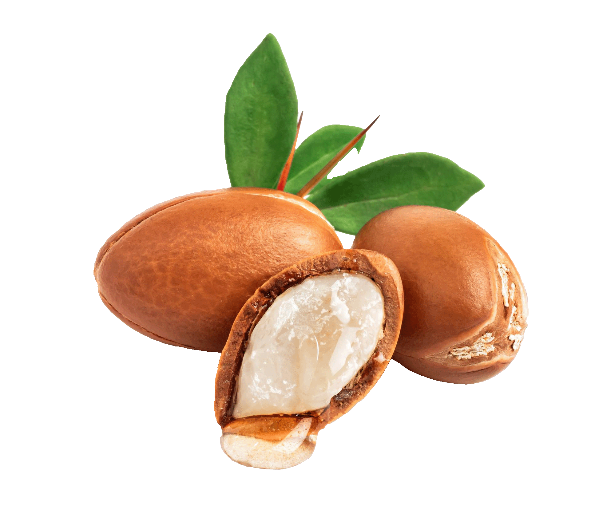 Argan Kernels