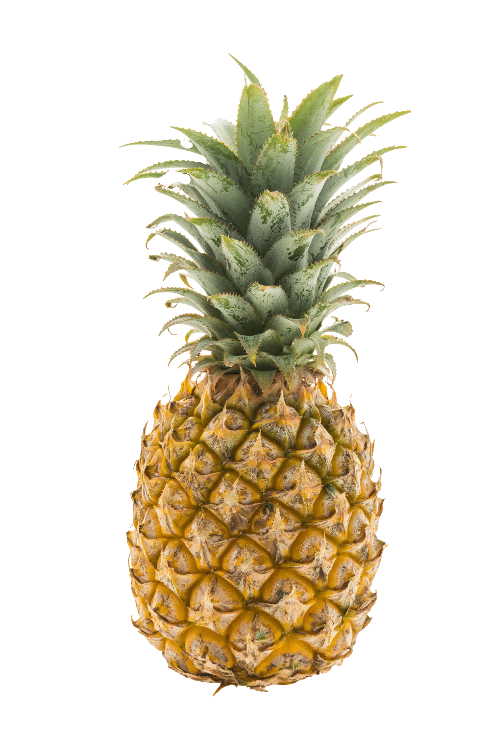 Golden Diamond Pineapple