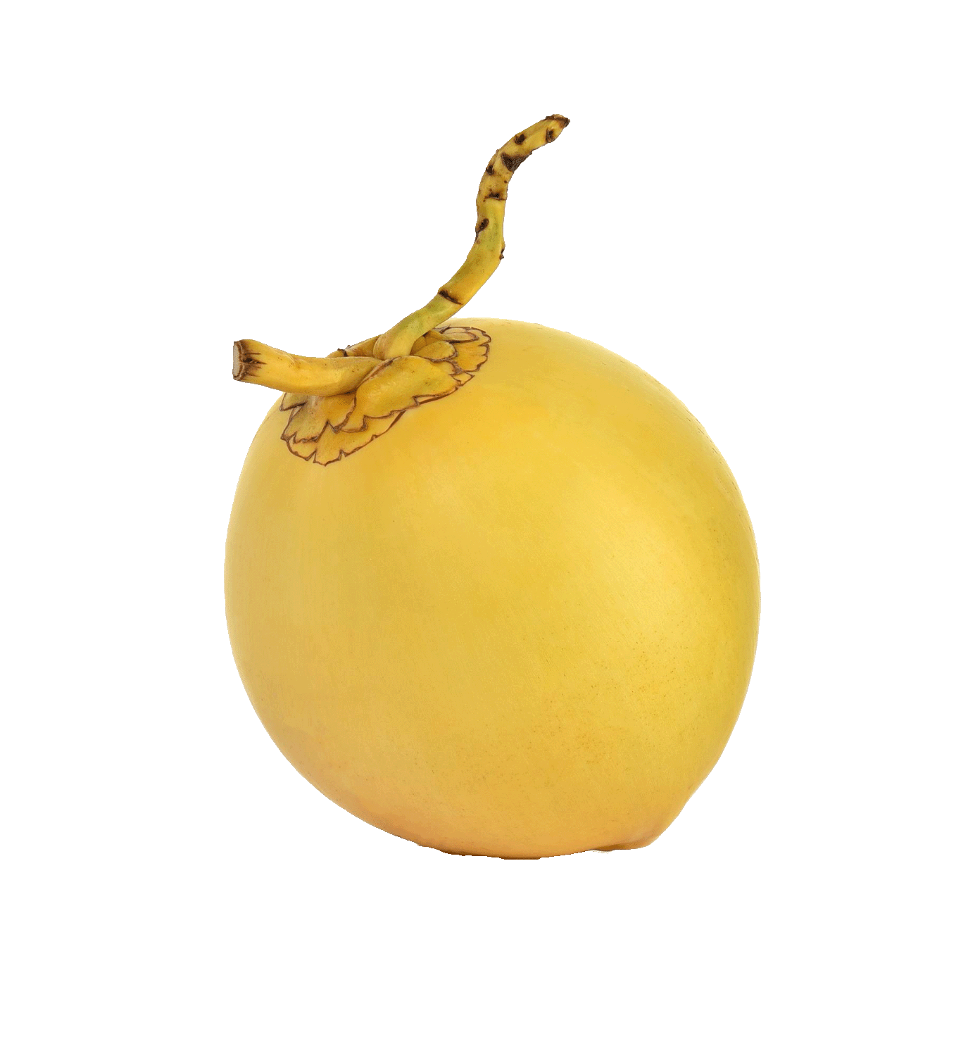 King Coconut