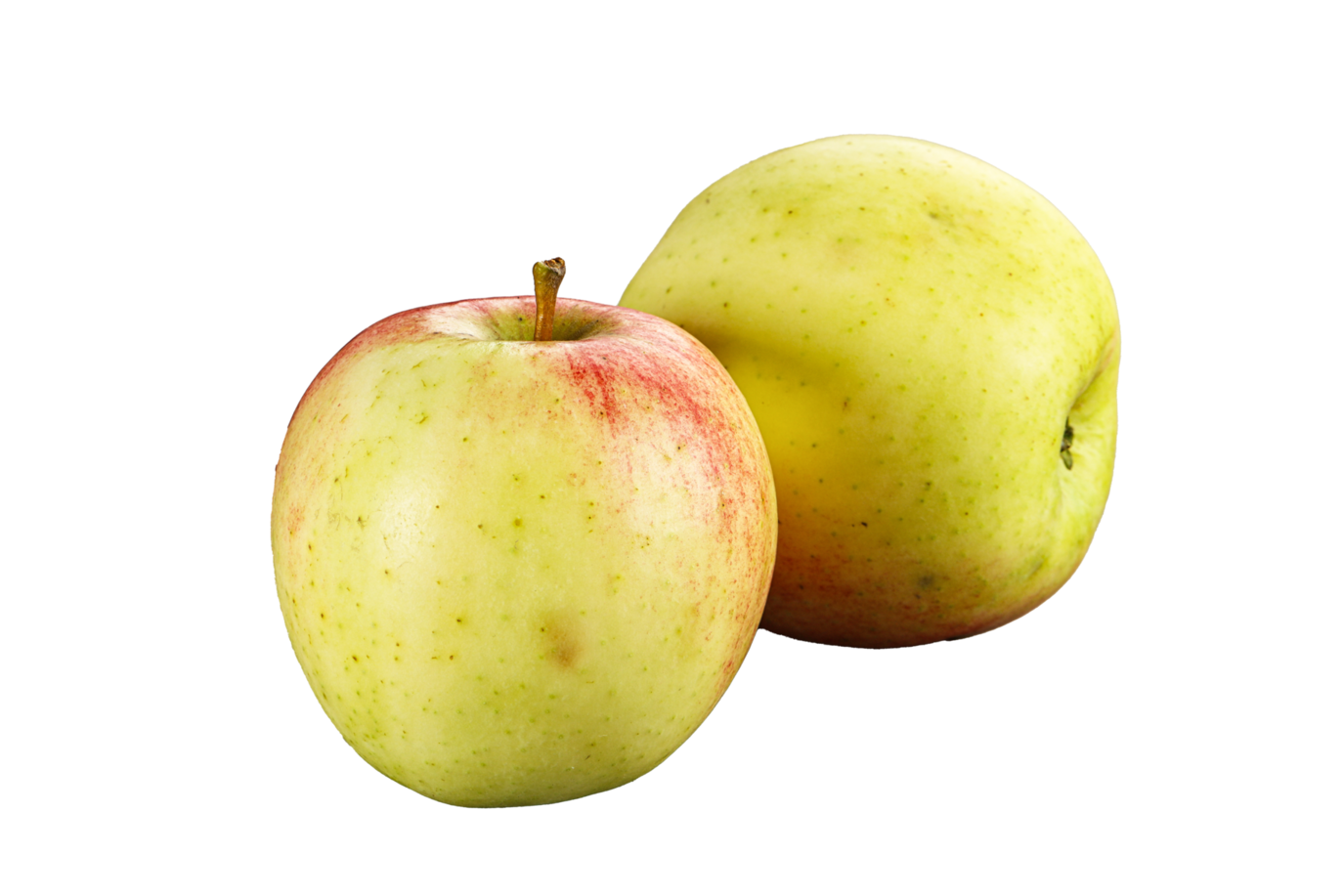 Normandy Apples